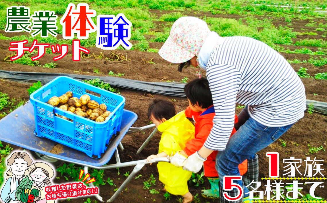 
                  農業体験（一枚で1家族5名様まで参加可能） ／ 農業体験 収穫体験 野菜収穫 体験チケット 家族体験 子供体験 食育 週末レジャー 自然体験 親子イベント 日帰り体験 体験ギフト 野菜づくり 畑体験 オーガニック志向 アウトドア体験 千葉県 No.090
                