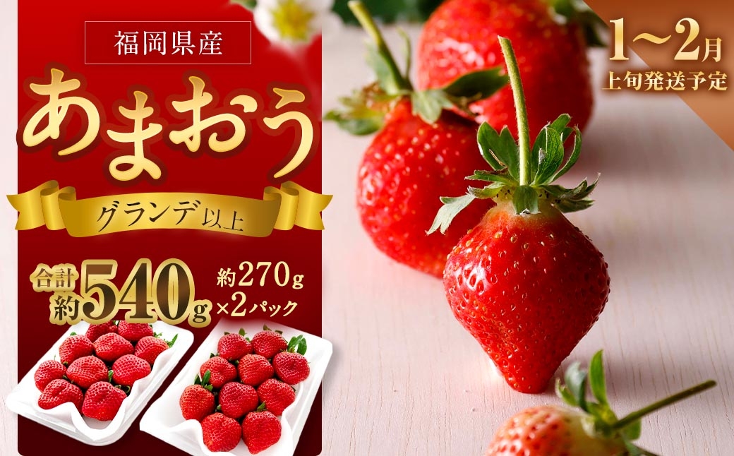 
                  福岡県産苺 「 あまおう 」 グランデ以上 270g × 2パック 計540g いちご イチゴ 苺 果物 くだもの 果実 フルーツ 果肉 いちごの王様 国産 福岡県産 【 2027年1月上旬～2月上旬発送予定 】
                