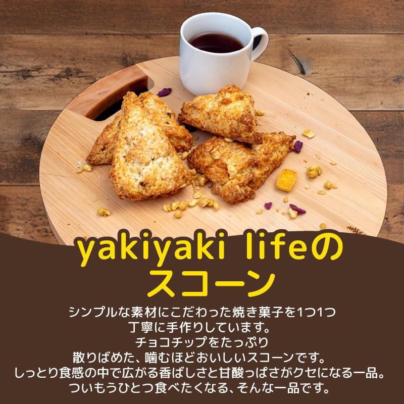スコーン 7個 セット チョコチップ 焼き菓子 お菓子 チョコ 焼菓子 おやつ 洋菓子 デザート スイーツ 人気 発酵 バター コク 風味 穀物 すこーん 冷凍 手土産 ギフト プレゼント 手作り 紅