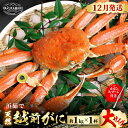 【ふるさと納税】【先行予約】≪浜茹で≫ 地物！天然！越前がに 大サイズ（約1kg） × 1杯 かにスプーン付き 【2024年12月上旬以降順次発送予定】 はるか丸厳選！【冷蔵 本場の味 ボイル 越前ガニ 蟹 茹で ずわいがに ズワイガニ 福井 日本海】 [m36-x005_12]