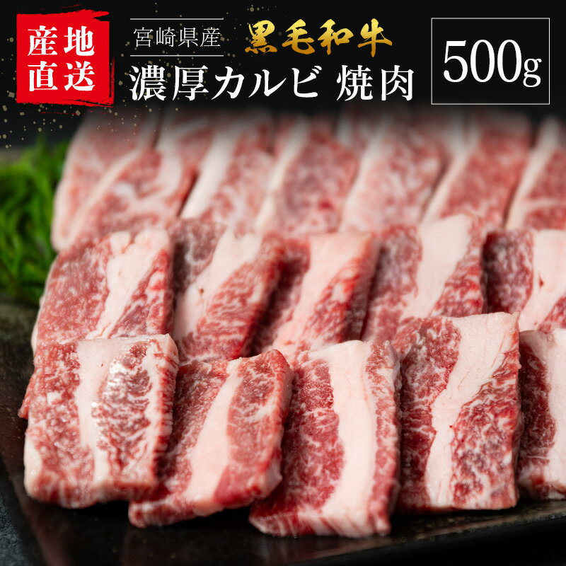 【ふるさと納税】【産地直送】宮崎県産 黒毛和牛 濃厚カルビ 焼肉 500g