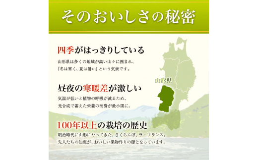 【先行予約 2026年度発送】♪フルーツ王国山形♪ アールスメロン メロン デザート フルーツ 果物 くだもの 果実 食品 山形県 FSY-2558