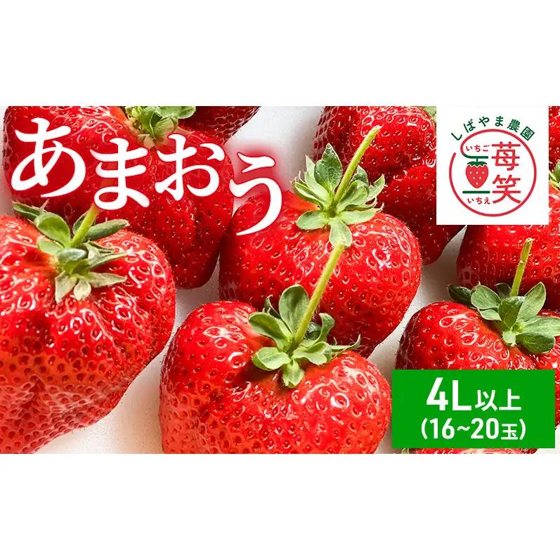 いちご 朝倉市産 あまおう 4L以上 16玉～20玉 いちご