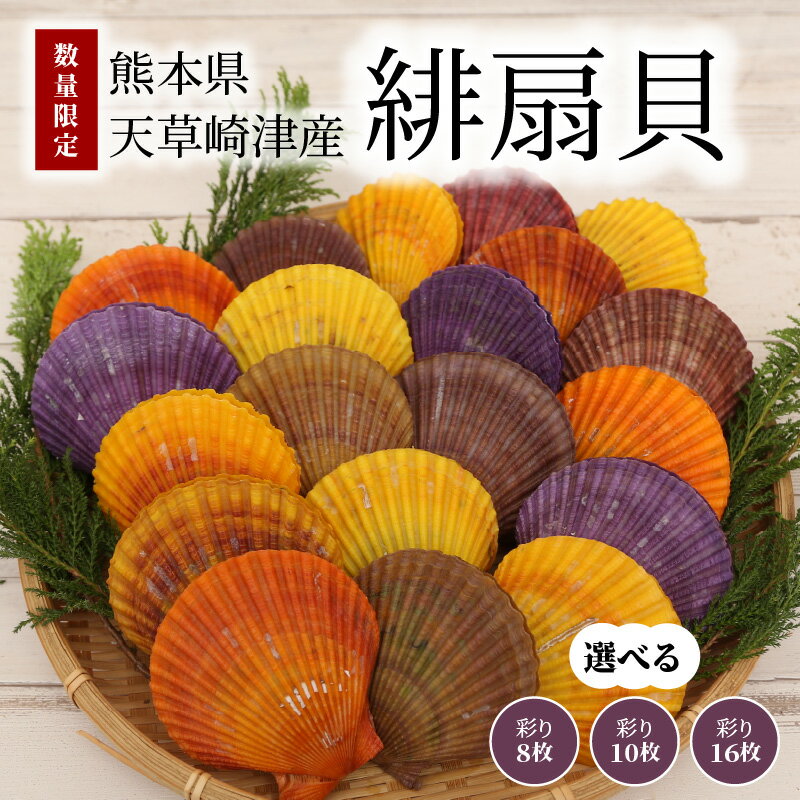 【ふるさと納税】【着日指定】数量限定 魚貝類 生食 可 緋扇貝 選べる 内容量 8~16枚 彩り ホタテ 貝殻付 無着色 多色多彩 装飾品【先行受付】