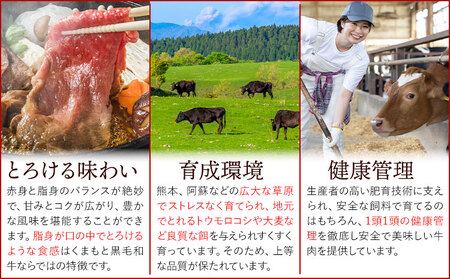 【A4～A5】くまもと 黒毛和牛 しゃぶしゃぶ すき焼き用（肩ロース肉・肩バラ肉・モモ肉）400g 《30日以内に出荷予定(土日祝除く)》熊本県 大津町 黒毛和牛 肉 お肉 和牛 A5 A4 小分け