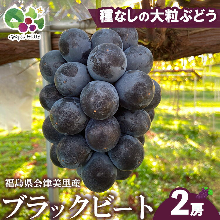 【ふるさと納税】【先行受付】会津の美味しいぶどう 種なし ブラックビート 1kg 2房 | 期間限定 大粒 果物 フルーツ ぶどう ブドウ 葡萄 くだもの 国産 果実 会津美里町産 ※2026年9月～発送