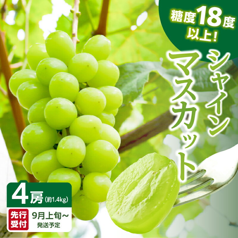 【ふるさと納税】【先行予約】糖度18度以上 シャインマスカット 1.4kg（350g×4パック）【JAふくおか八女】9月上旬〜発送予定 マスカット ぶどう 種なし 皮ごと食べられる 糖度18度 高糖度 甘い 厳選 産地直送 新鮮 1.4kg 先行予約 旬 クール便 品質保証 数量限定 福岡 八女