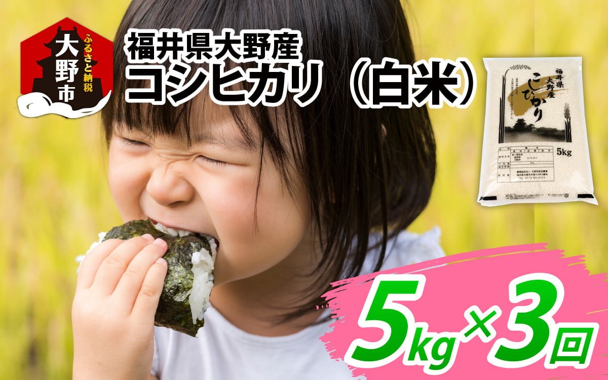 
                  【先行予約】【3ヶ月定期便】【令和8年度産 新米】福井県大野産コシヒカリ（白米）5kg×3回 計15kg
                