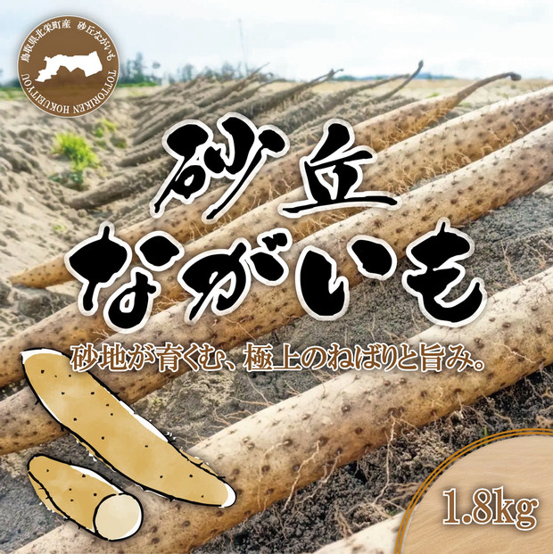 1113.砂丘ながいも1.8kg 313726_CL002