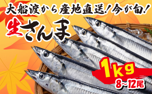 【先行予約】 さんま 約1kg 8尾～12尾 冷蔵 鮮秋刀魚 [発送:2026年9月～2026年11月下旬] 冷蔵さんま 新鮮 鮮度 産地直送 さんま祭り サンマ祭り 肴 つまみ 簡単 簡単調理 焼くだけ ごはん おかず 三陸 岩手 大船渡市 サンマ 秋刀魚 生 被災 震災 支援 応援 鎌田水産