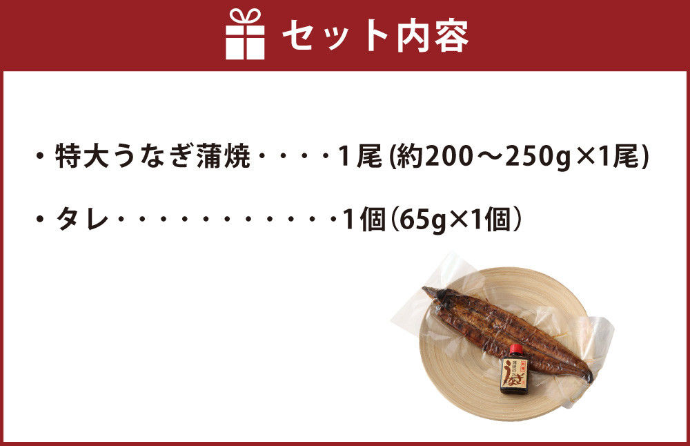 熊本産 特大うなぎ蒲焼〖阿蘇夢鰻（アソロマン）〗1尾