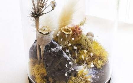 【さとリウム®】プリザーブド加工のテラリウム 冬 1セット｜ テラリウム ガラスドーム 苔 こけ コケ 植物 鑑賞用 インテリア 水やり不要