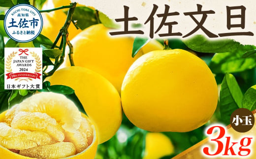 【日本ギフト大賞2024受賞】【先行予約】文旦 小玉3kg（L～M）2026年1月下旬より順次発送 土佐文旦 みかん 柑橘 ぶんたん ブンタン 果物 フルーツ お取り寄せ おいしい 家庭用 贈答用 土佐市 高知 ふるさと納税 春 旬 返礼品 高知県 高知 6000円