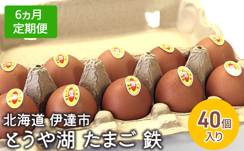 
[№5525-0922]【6ヵ月 定期便】 北海道 伊達市 とうや 卵 鉄 40個 入り たまご
