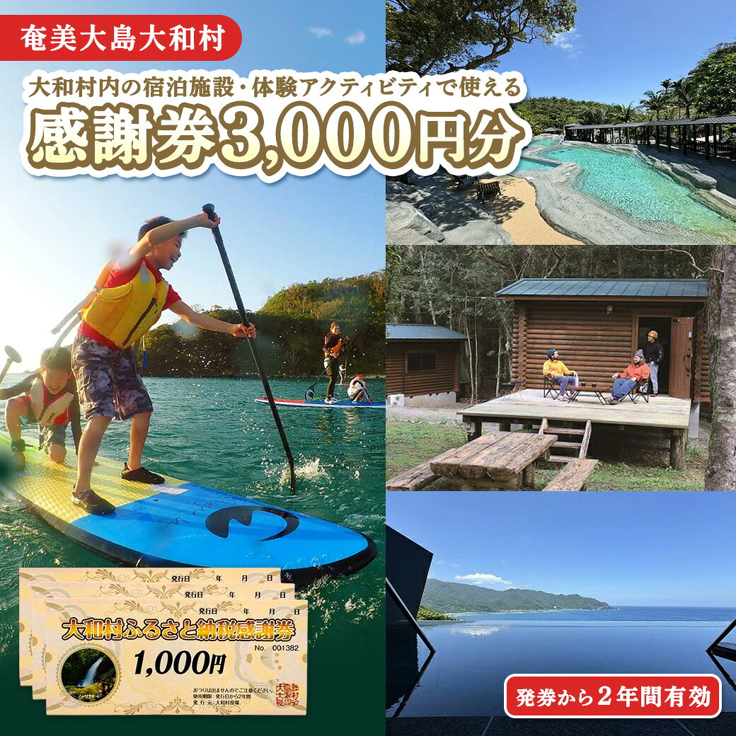 【ふるさと納税】大和村内の宿泊施設・体験アクティビティで使える感謝券　3，000円分