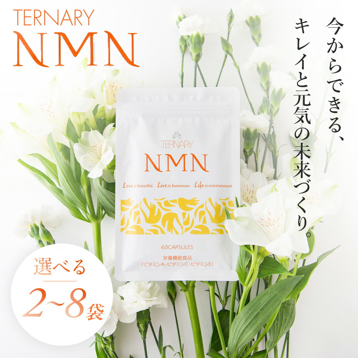 【ふるさと納税】 ターナリ―NMN（60粒入パウチ） (選べる個数/2個・4個・8個) | nmn サプリ サプリメント 国内製造 高純度 耐酸性 年齢 食事 飲みやすい カプセル タブレット 健康 国内 次世代 エイジングケア ビタミンA ビタミンC ビタミンE NAD 静岡県 伊豆市 静岡 伊豆