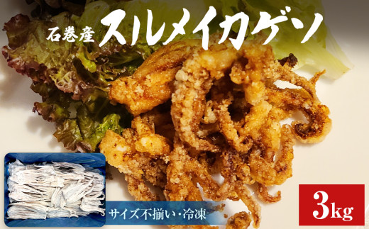 石巻市産 スルメイカゲソ 3kg 冷凍 国産 スルメイカ いか 下足 イカ イカゲソ おつまみ 魚介類 焼イカ バーベキュー BBQ 烏賊 炒め物 フライ ゲソ天 唐揚げ おかず バラ バラ冷凍 いか 宮城県 石巻市