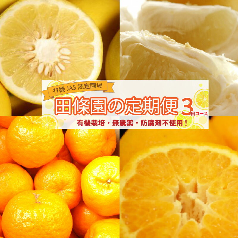 【ふるさと納税】 柑橘 定期便 3回 3ヶ月 果物 定期便 ぽんかん 土佐 オーガニック 無農薬 防腐剤 不使用 田條園 みかん 文旦 くだもの 果物 家庭用 秋 旬 期間限定 季節限定 早期予約 数量限定 蜜柑 土佐文旦 高知県 須崎市 フルーツ TJ1000-x2