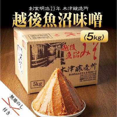 ふるさと納税 南魚沼市 無地熨斗 新潟県 南魚沼産 越後魚沼味噌 大容量 業務用 5kg 箱 木津醸造所