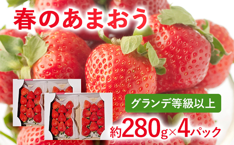 
            【2026年先行予約】春のあまおう(G規格以上約280g x 4パック) お取り寄せグルメ お取り寄せ 福岡 お土産 九州 福岡土産 取り寄せ グルメ 福岡県
          