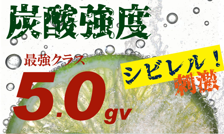 【定期便】（12ヶ月連続お届け）強炭酸水（500ml）１ケース（24本入り）×12回