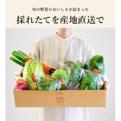ふるさと納税 豊岡市 旬の新鮮なお野菜を産地直送!ベジプラ特選 旬の野菜セット |  | 01