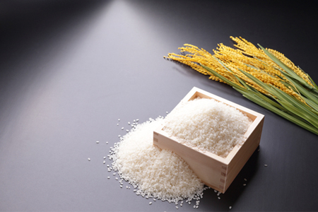 【令和7年産先行予約】＜定期便全3回＞ 令和7年新米 真庭市産 太安さんちのあきたこまち 白米 ５kg×３回(定期便） / 新米 お米 岡山県 真庭市 白米 米 アキタコマチ 太安 あきたこまち 人気