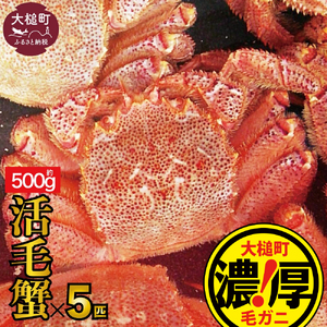 【令和8年発送】三陸産！活毛ガニ 500g×5杯【08】 【2026年2月～4月発送】