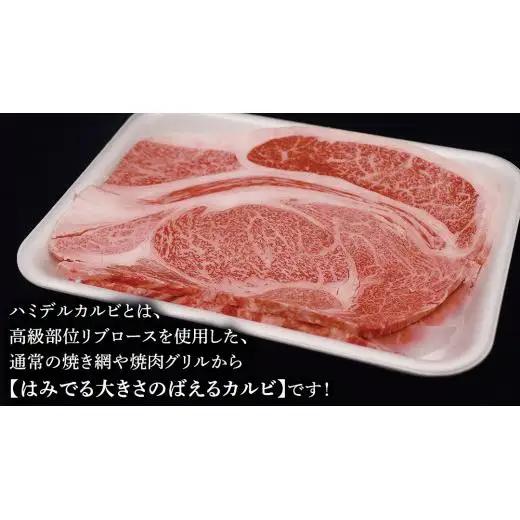 【 スピード発送 】 【常陸牛 】 ハミデルカルビ1kg（6～10枚）( 茨城県共通返礼品 )  国産 焼き肉 カブリ ゲタ リブ芯 リブ巻 中落ちカルビ バーベキュー BBQ お肉 ブランド牛 黒毛