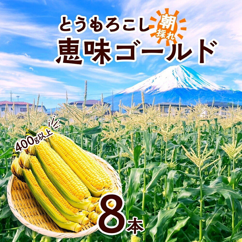 【ふるさと納税】 とうもろこし 恵味 ゴールド 400g以上 × 8本 高糖度 トウモロコシ スイートコーン 玉蜀黍 イエローコーン 黄 夏野菜 甘い ジューシー 野菜 おやつ 旬 産地直送 送料無料 湖南野菜出荷組合 山梨県 富士河口湖町 FEM002