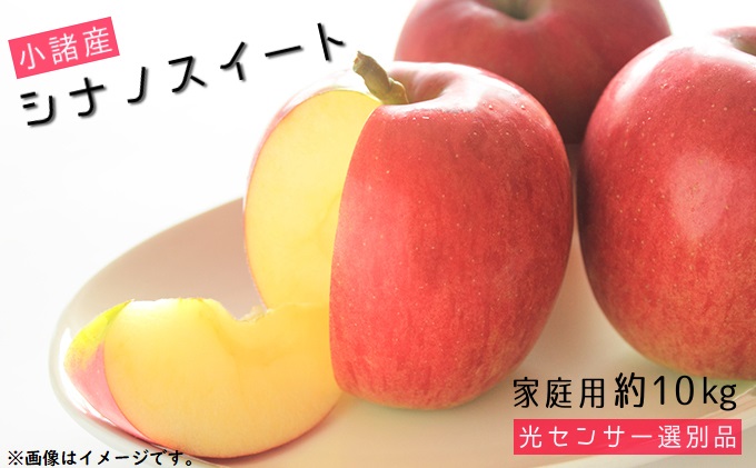 シナノスイート 家庭用 約10kg 長野県産 果物類 林檎 りんご リンゴ フルーツ 小諸市