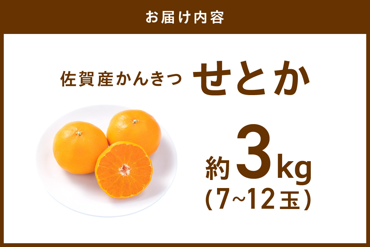 佐賀産せとか 約3kg (7-12玉) (伊万里市) 柑橘類 147-B801