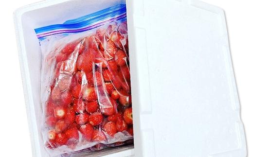 完熟冷凍いちご 約1kg ＜数量限定！！＞ フレッシュベリーの完熟冷凍いちご！大中小サイズ混合約１kg やよいひめ・かおり野・紅ほっぺ・もういっこ ≪イチゴ 苺 ジャム ヨーグルト おやつ≫