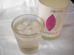 谷櫻の芋酒「あけのGT」セット　-米とさつまいものお酒-　酒 醸造酒 谷櫻  山梨県産米 あけの金時 720ml×2本セット 飲み比べ ギフト 贈り物 家飲み 贈答 母の日 父の日 [h051]