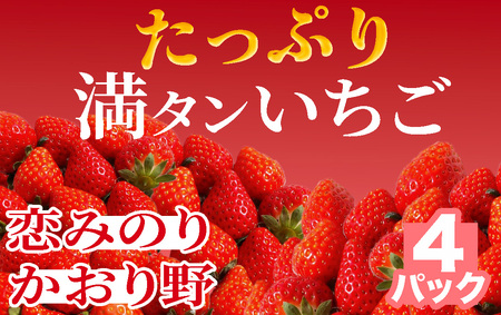 【2025年3月以降配送】たっぷり 満タンいちご4パック 恋みのり、かおり野　から厳選　【 苺 いちご イチゴ かおり野 恋みのり 産地直送 旬 果物 フルーツ くだもの 静岡県 伊豆 南伊豆町 期間限定 】　　　　いちごいちごいちごいちごいちごいちごいちごいちごいちごいちごいちごいちごいちごいちごいちごいちごいちごいちごいちごいちごいちごいちごいちごいちごいちごいちごいちごいちごいちごいちごいちごいちごいちごいちごいちごいちごいちごいちごいちごいちごいちごいちごいちごいちごいちごいちごいちごいちごいちごい