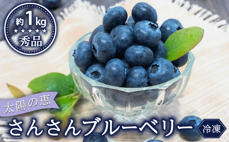 
            【早期予約開始!!2026年5月末より順次発送】【秀品】ブルーベリー 500g × 2 パック 合計 1kg 冷凍 健康 食品 果物 フルーツ ベリー そのまま おやつ 朝食 加工 お菓子 製菓 シャーベット ジャム ソース スムージー いちかわファーム 高知県 須崎市 IF023
          
