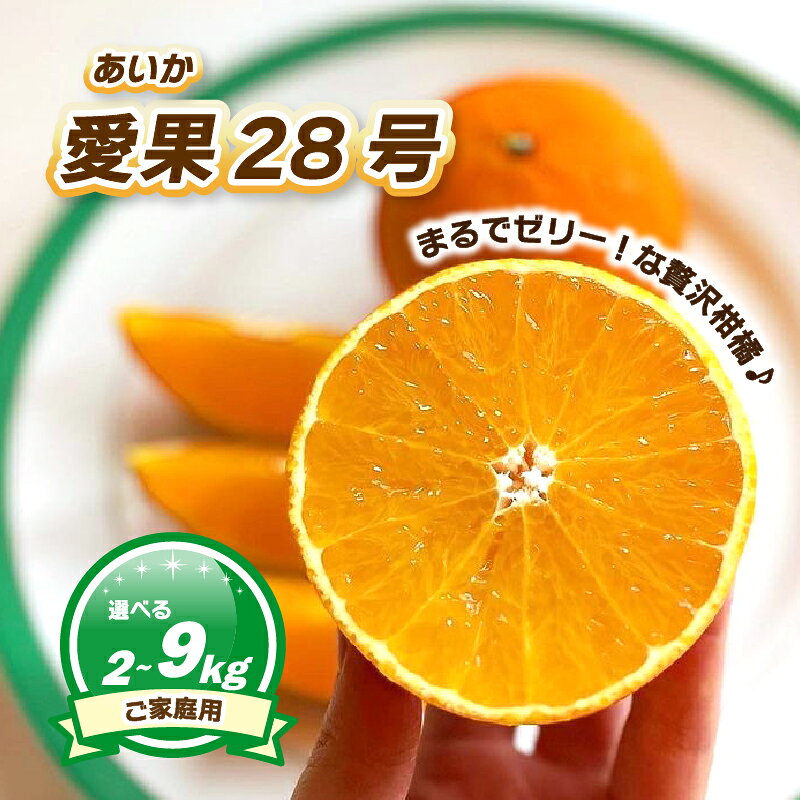 【ふるさと納税】 【2026年11月下旬ごろ順次発送】 ご家庭用 愛果28号 (紅まどんな と同品種) 約2kg～約9kg ハウス栽培 | あいか 28号 果物 みかん 柑橘 宮本農園 愛媛県 松山市