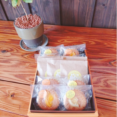 自家焙煎珈琲とマドレーヌセット【配送不可地域：離島】【1298931】