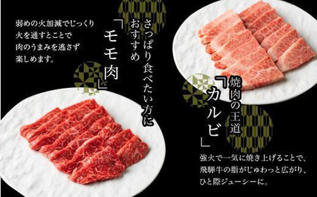 【10月発送】5等級 飛騨牛 焼肉 (もも、バラ) 盛り合わせ 400ｇ 食べ比べ 詰め合わせ  人気 おすすめ BBQ バーベキュー キャンプ お取り寄せ グルメ 焼肉セット 飛騨高山 ながせ食品 