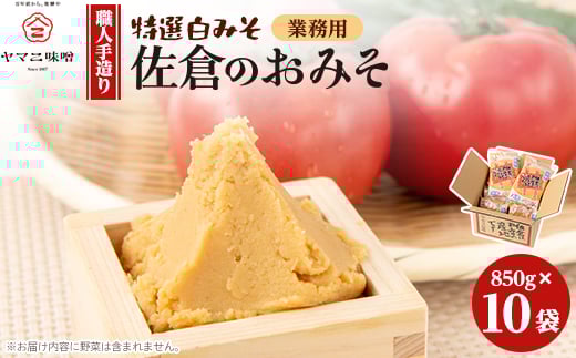 
            ＜業務用＞佐倉のおみそ(白みそ×10袋入り)【1368866】
          