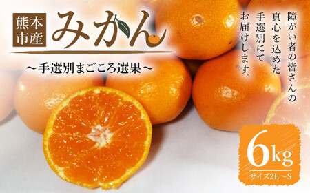 熊本市産 【手選別まごころ選果】 みかん 6kg サイズ2Ｌ～S  蜜柑 ミカン フルーツ 果物 くだもの 柑橘 熊本産 九州産【2026年10月下旬～2027年2月下旬迄発送予定】
