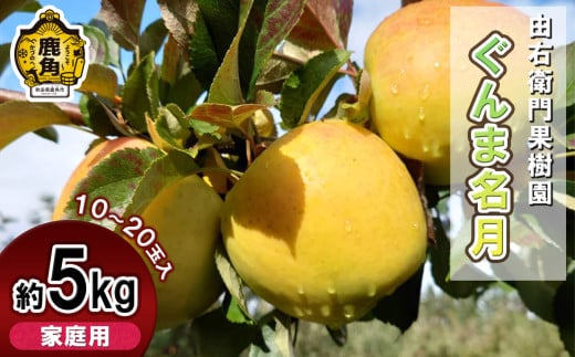 由右衛門果樹園 りんご 家庭用 「ぐんま名月」約5kg（10～20玉）【由右衛門果樹園】●2025年11月中旬発送開始 りんご 林檎 リンゴ ぐんま名月 ぐんま 名月 秋田県 秋田 あきた 鹿角市 鹿角 かづの 産地直送 農家直送