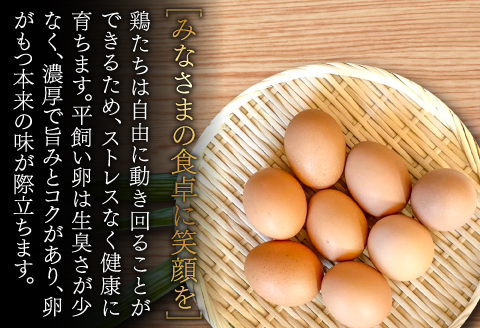 A-791 大久保さんちの元気たまご 平飼い 40個