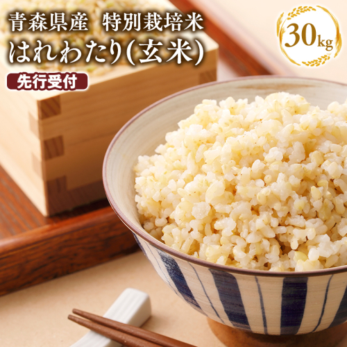 ≪令和8年産 先行予約≫12月上旬よりお届け! 　特別栽培米 はれわたり玄米30kg(10kg×3袋)【青森県 平川市】先行予約 米 お米 玄米 青森県産 産地直送 おにぎり 朝ご飯 冷めてもおいしい ご飯  コメ こめ 白米 ごはん ブランド米 特A 特A米 お取り寄せ グルメ