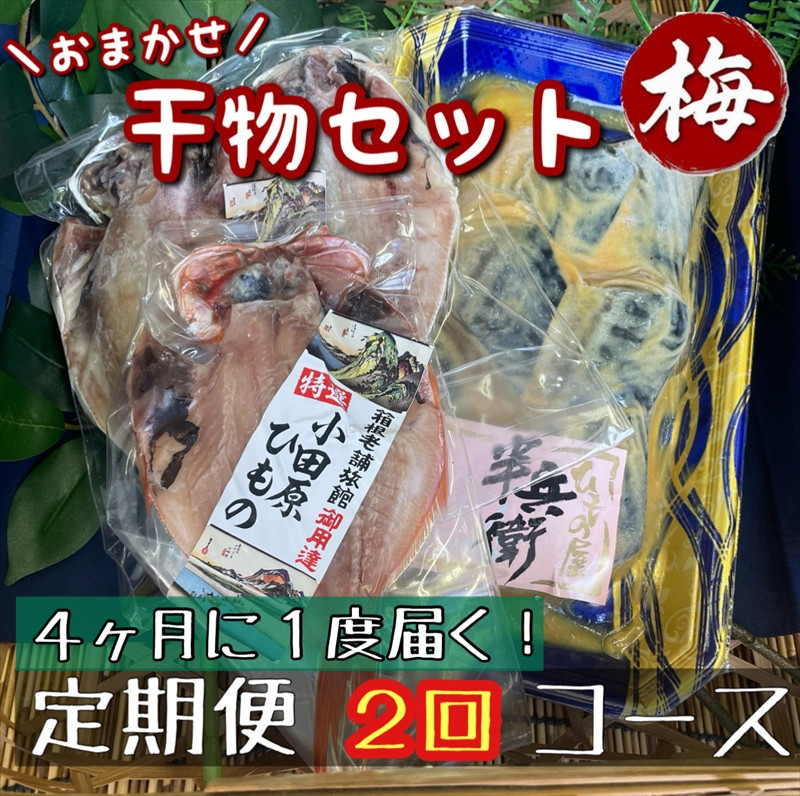 【4ヶ月に1回定期便2回】厳選！小田原の旬の干物セット 梅【 まぐろや 神奈川県小田原市 】 142069_DQ291
