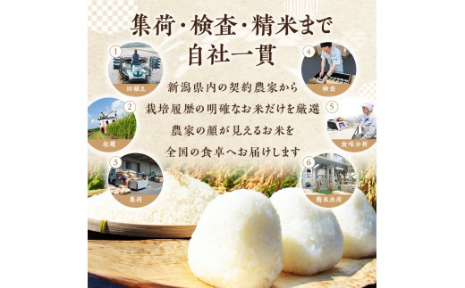 R8年産 新潟県産 コシヒカリ  5kg 3か月定期便 新潟県 新潟市産 令和8年産 お米 精米 米 ご飯 送料無料