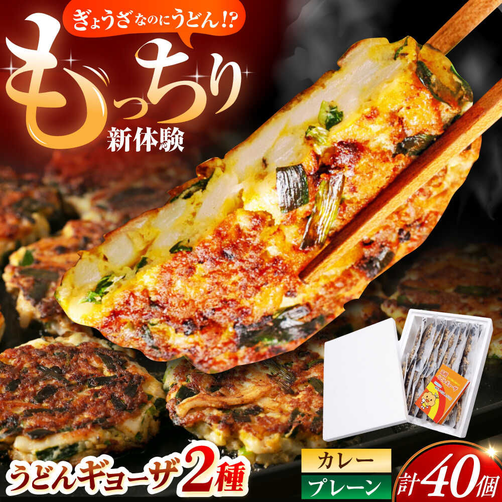 【ふるさと納税】高槻うどんギョーザふるさとギフト【プレーン＆カレー 40個】 餃子 ぎょうざ ギョーザ うどん 焼きうどん ご当地 ご当地餃子 おかず 中華 中華料理 大阪府高槻市/高槻うどんギョーザの会 [AOAU004]