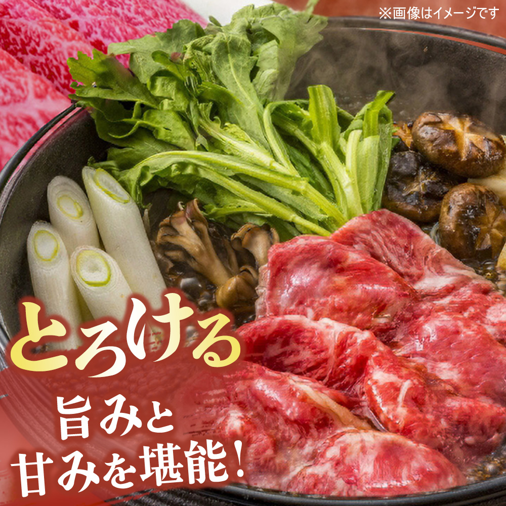 佐賀牛 サーロインステーキ200g×5枚計1000g すきやき用切落250g×4パック計1000g【佐賀牛 サーロイン ステーキ すきやき 切落し 高級部位 赤身肉 霜降り 小分け】(H122124)