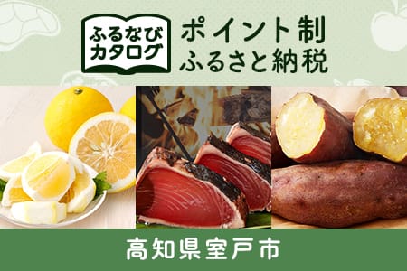 【有効期限なし！後からゆっくり特産品を選べる】高知県室戸市カタログポイント