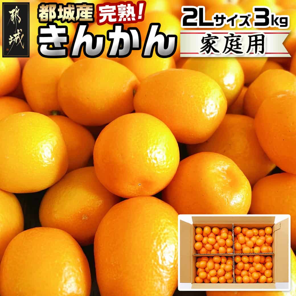 【ふるさと納税】【先行予約！】【2月〜3月お届け】都城産完熟きんかん 家庭用3kg (2Lサイズ) - 都城産 完熟きんかん きんかん 2Lサイズ 約3kg 柑橘類 2月〜3月お届け 家庭用 先行受付 送料無料 18-B501【宮崎県都城市は2年連続ふるさと納税日本一！】
